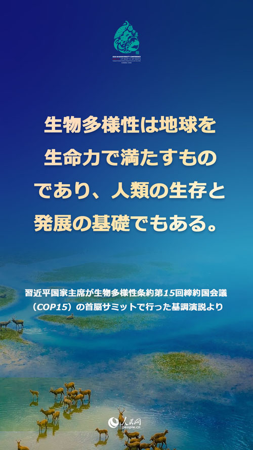 習近平國家主席「CO2排出量ピークアウト、カーボンニュートラル『1+N』政策システムを構築」